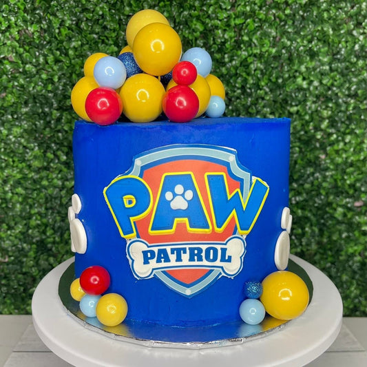 Paw Patrol Celebration